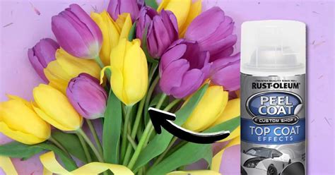 Does Food Coloring Kill Flowers