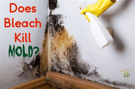 does force of nature kill mold