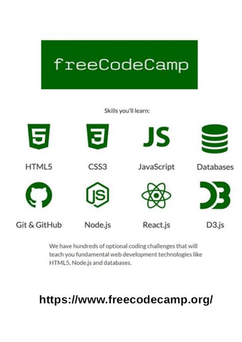does free code camp work