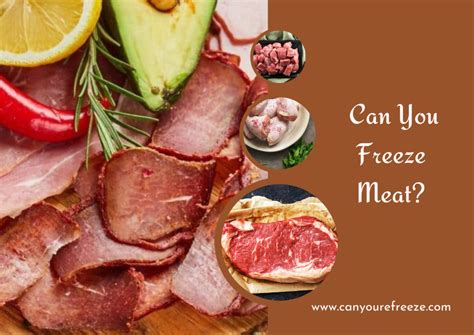 Does Freeze Drying Meat Kill Bacteria