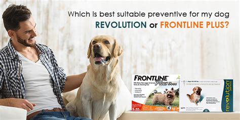 does frontline kill scabies on dogs