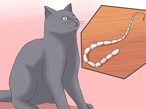 does garlic get rid of tapeworms in cats