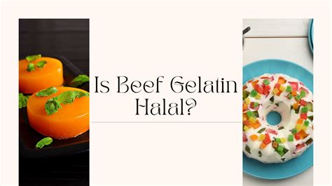 Does Gelatin Contain Beef