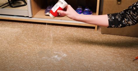 does getying rid of carpet get rid of fleas