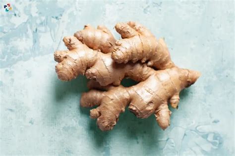 does ginger root help migraines