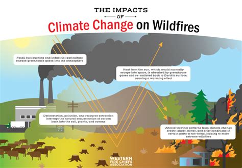 Does Global Warming Increase Forest Fires