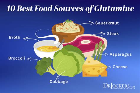 Does Glutamine Make You Hungry