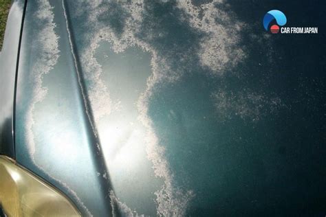 Does Goof Off Damage Paint