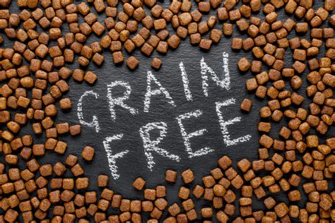 does grain free dog food cause weight loss