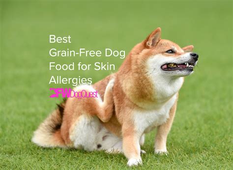 does grain free dog food help with skin allergies