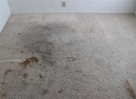 does gray carpet just look dirty
