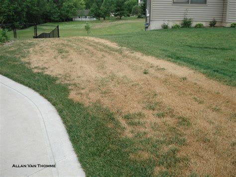 Does Green Grass Burn