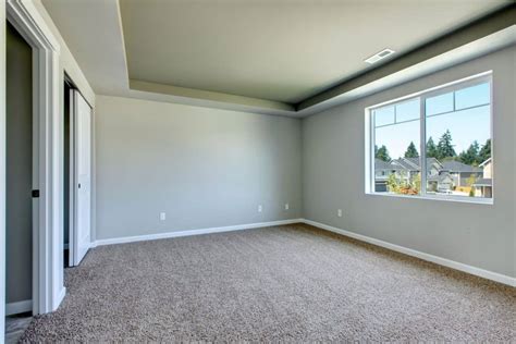does grey paint go with beige carpet
