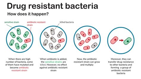 Does Hand Sanitizer Create Resistant Bacteria