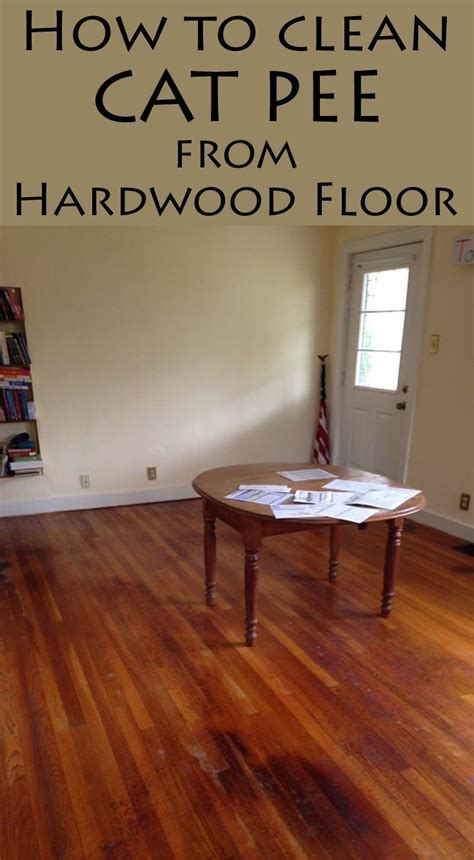 does hardwood floor hurt cat