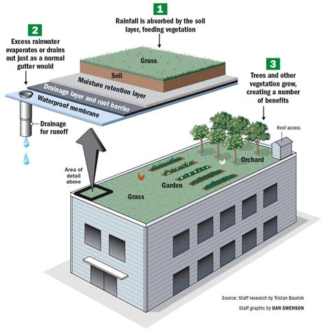 does having a green roof at ground level work