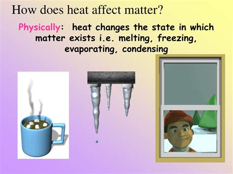 Does Heat Affect Alcohol? Facts You Need To Know