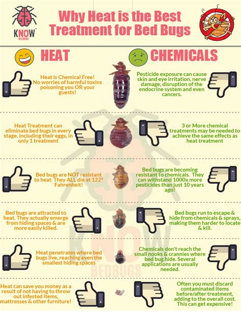 does heat kill bed bugs on clothes