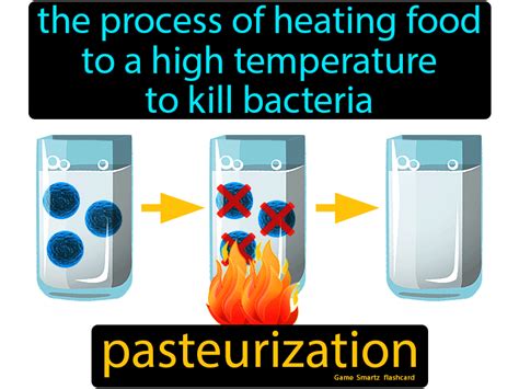 Does Heating Food Kill Fly Germs