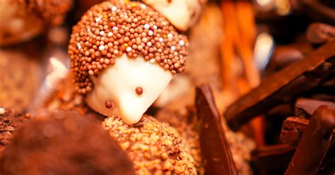 Does Hedgehogs Eat Chocolate