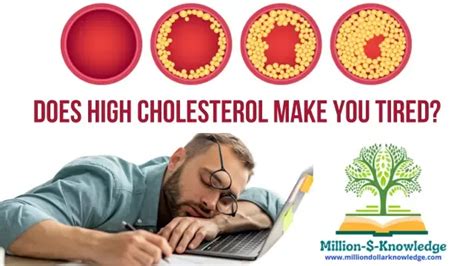 does high cholesterol make you tired
