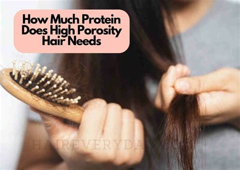 The Does High Porosity Hair Need Protein Or Moisture For New Style