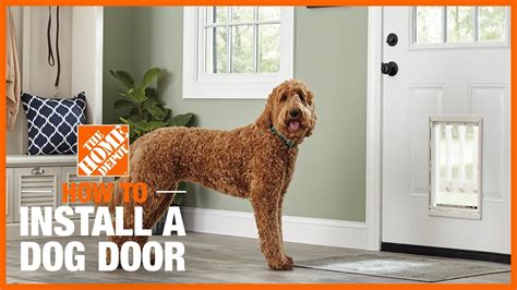 does home depot install dog doors