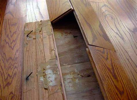 does home ownere insurance cover hardwood floors buckling