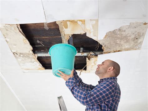does homeowners insurance cover water damage and mold