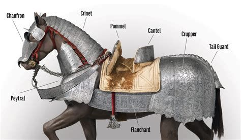 Does Horse Armor Do Anything