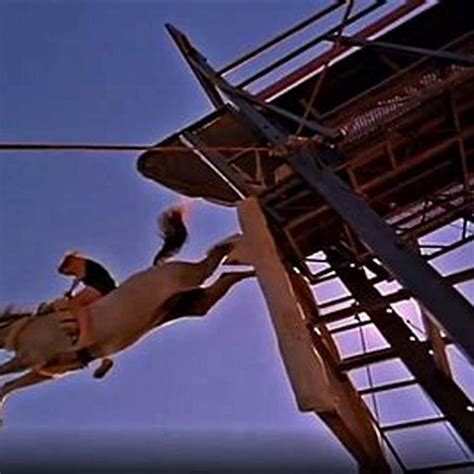 Does Horse Diving Still Exist