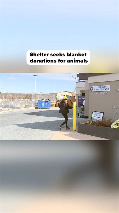 Does Humane Society Need Blankets