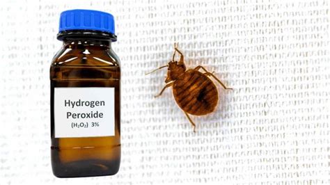 does hydrogen peroxide kill bed bugs
