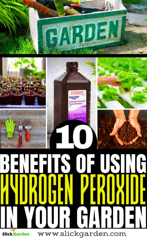 Does Hydrogen Peroxide Kill Bugs In Plants