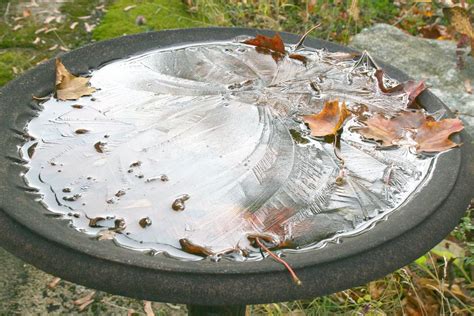 does ice crack ceramic bird bath when it thaws