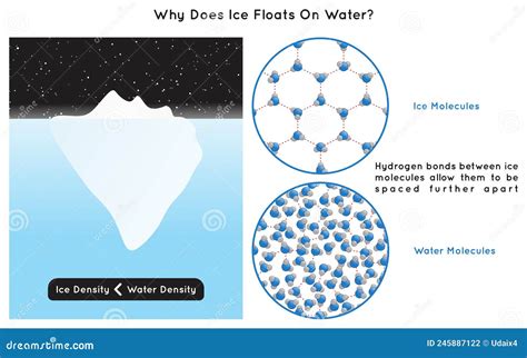 Does Ice Float On Water