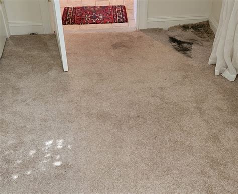 does ice water damage kashmiri carpets