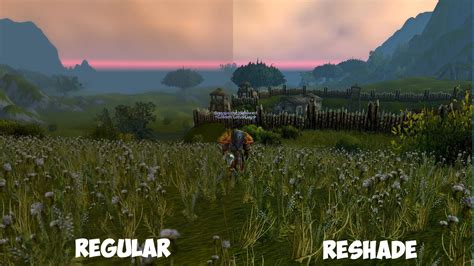 Does Image Sharpening Affect Performance