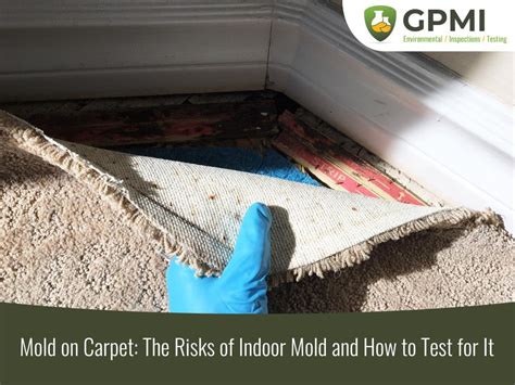 does indoor outdoor carpet mold