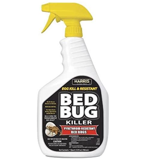does insect spray kill bed bugs