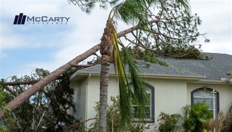 Does Insurance Cover A Tree Falling