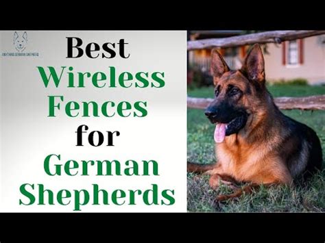 does invisible fence work for german shepherds