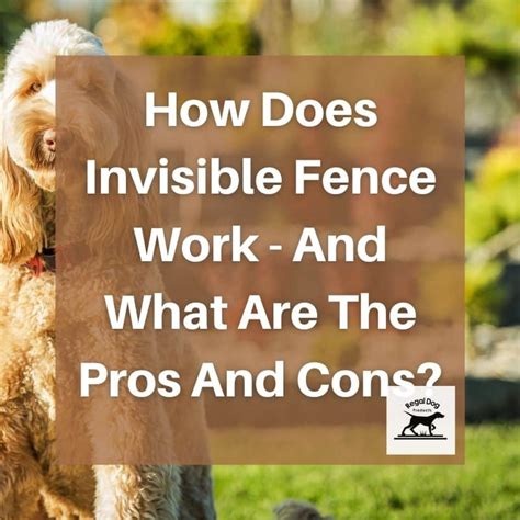 does invisible fence work