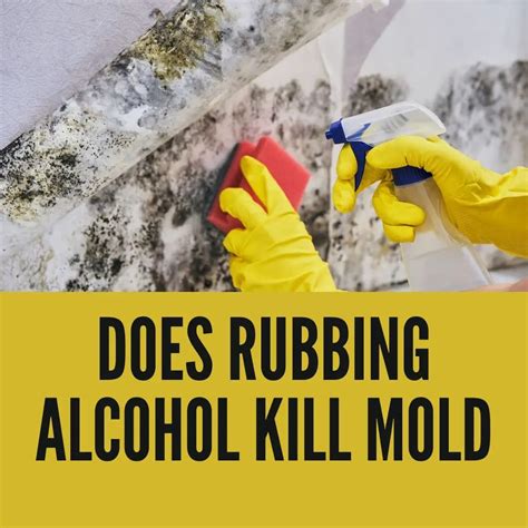 does isopropyl alcohol kill mold
