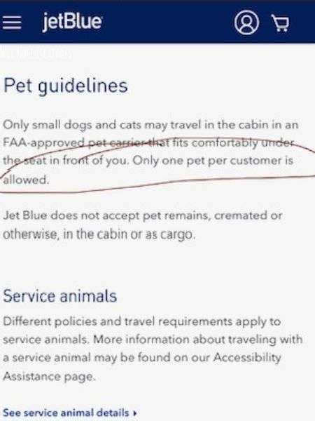 Does Jetblue Allow Small Dogs