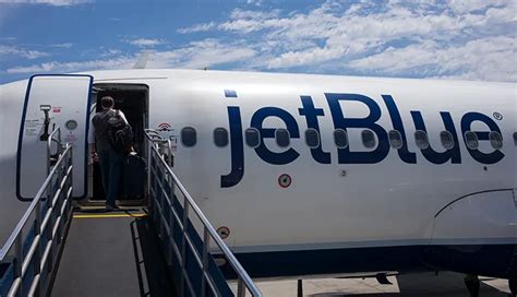 Does Jetblue Fly Pets In Cargo