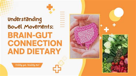 Does Keto Affect Bowel Movements