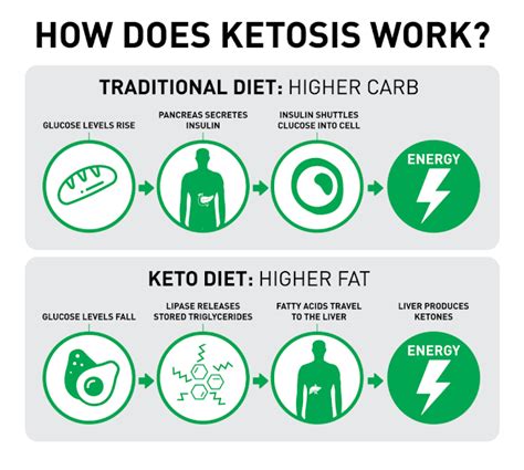 Does Keto Diet Work Bodybuilding