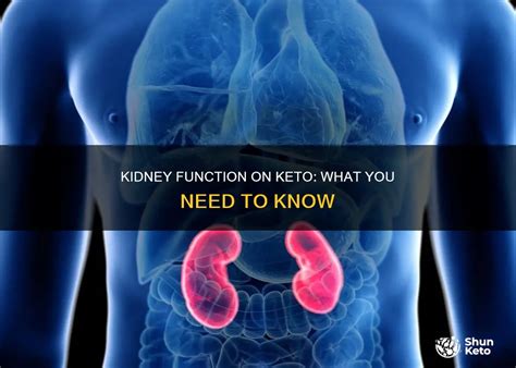 Does Keto Mess Up Your Kidneys