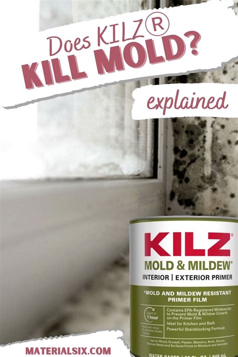 does kilz paint kill mold
